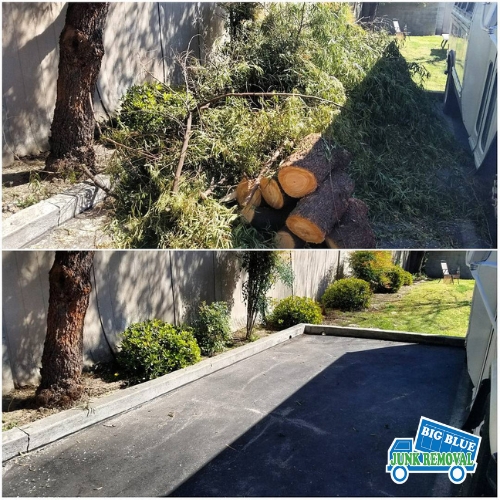 Yard Waste Removal Modesto