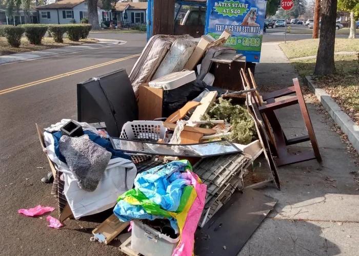 Extra Garbage Removal