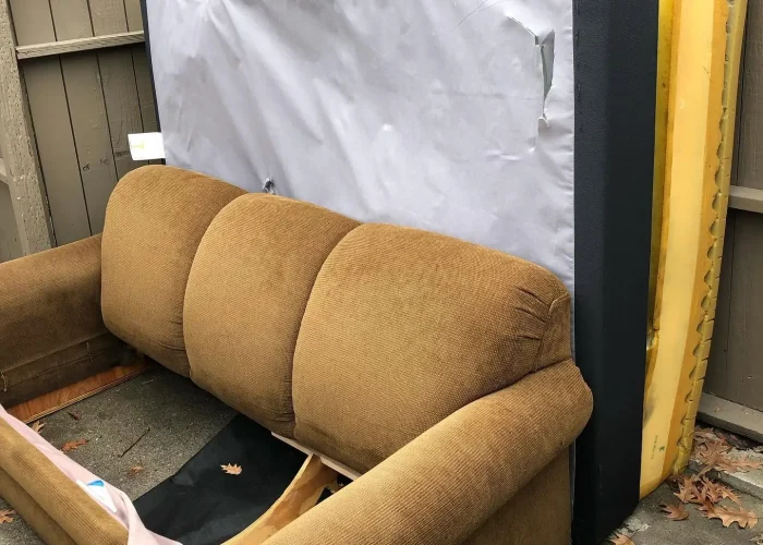 Couches and Sofas