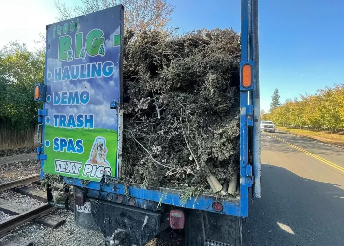 Yard Waste Removal